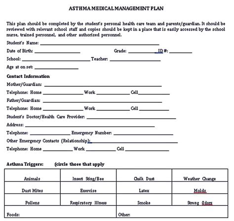 Management Plan Format 的图像结果