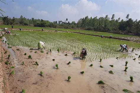 கோடை விவசாயத்தை கைவிட்ட விவசாயிகள்