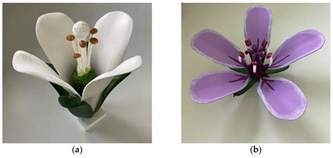 Evidence-Based Optimization of Classroom Teaching Units Using 3D ...