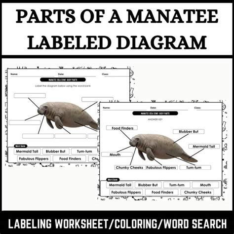 Image result for Python Int Random Code