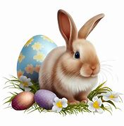 Image result for Bing Free Photo Images Spring Photos Flowers and Bunnies