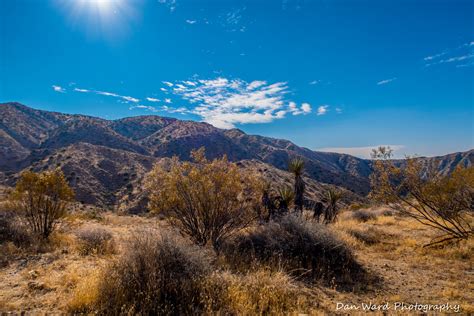 Big Morongo Canyon Preserve ~ Fall 2020 – BB Photography Studio