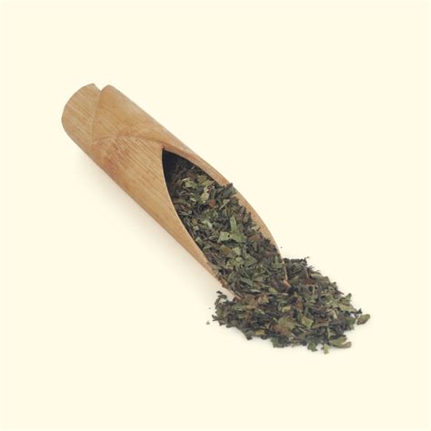 Buy Mint Green Whole Leaf Teabags - Octavius