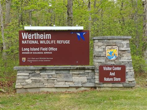 Dec 29 | Children's Craft Day | Shirley, NY Patch