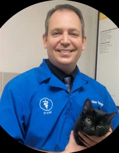 Adam Vernengo, DVM | Chesterfield Animal Hospital