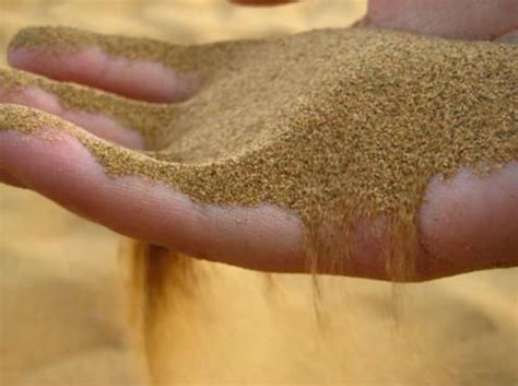 AMA支招沙子选购，让你选到最好的沙子 - 知乎
