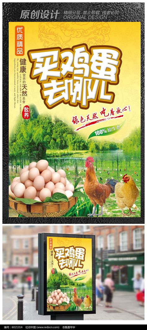 农村小伙买鸡，第一次见到鸡生蛋的过程，可惜没把蛋接住,社会,三农,好看视频