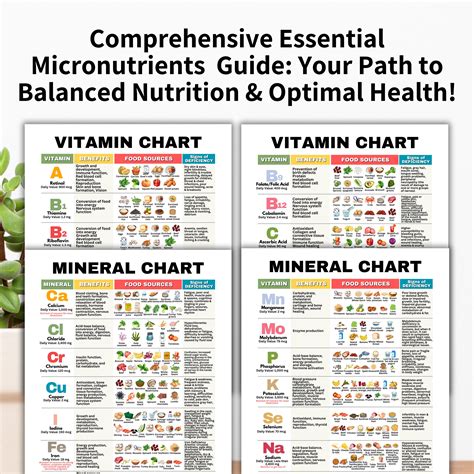 The Essential Guide To Recommended Daily Intake Of Minerals