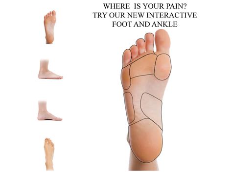 Ankle, Foot & Orthotic Centre - Podiatry Ankle and Foot Pain Centre