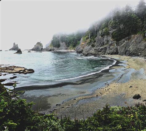 Shi Shi Beach, Olympic Peninsula, WA, USA[4007 × 3625] : r/EarthPorn