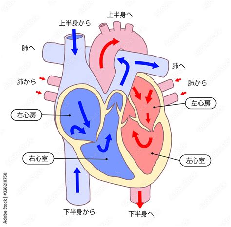 Image result for Tutorials File