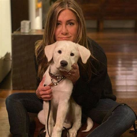 Most-followed Korean actress on Instagram: IU to Bae Suzy | LSA India