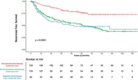 Long-term Recurrence Rates of Low-risk Non–muscle-invasive Bladder ...