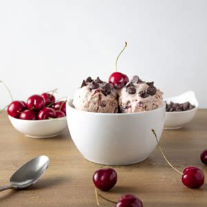 Best Homemade Ice Cream Recipes Using Machine 的图像结果