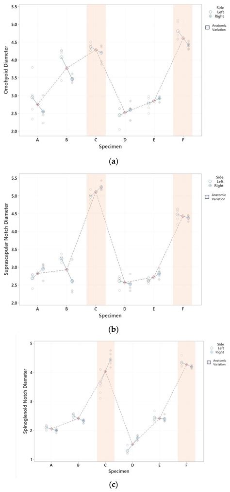 Variations in the Course and Diameter of the Suprascapular Nerve ...