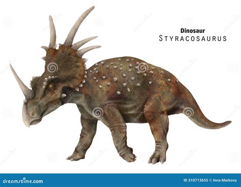 Styracosaurus Illustration. Dinosaur with Horns. Stock Illustration ...