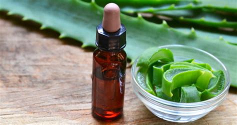 6 Benefits Of Aloe Vera Hair Oil You Should Know About!