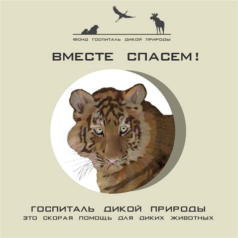Благотворительный сертификат фонда "Госпиталь Дикой Природы" Госпиталь ...