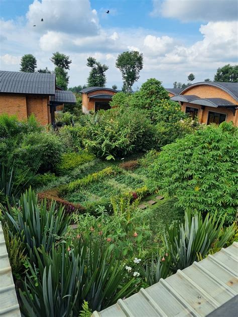 VIRUNGA INN RESORT & SPA (Kinigi) - Hotel Reviews, Photos, Rate ...