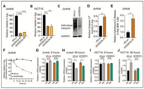 GSK3α Regulates Temporally Dynamic Changes in Ribosomal Proteins upon ...