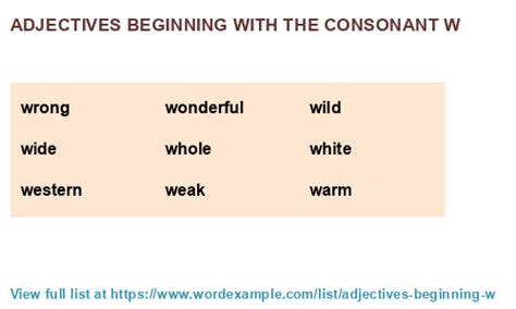 Adjectives beginning with the consonant w (1,000 results)
