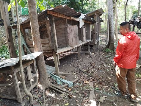 AMBIL SEKARANG