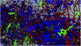 Insights into substrate behavior in a solvent-free protein liquid ...