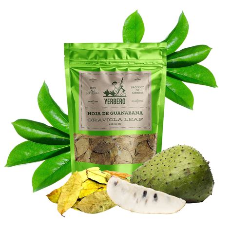 Buy Yerbero - Te Hoja De Guanabana ( Graviola Leaf - Whole Soursop ...
