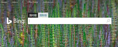 Bing 主页图片 的图像结果