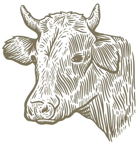 Florida Cracker Cook Shack - Brooksville, FL | Savor Florida Flavors ...