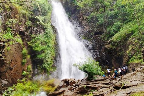 Secret Waterfalls & Forest Treks: 3 Groups That Show The Hidden Goa