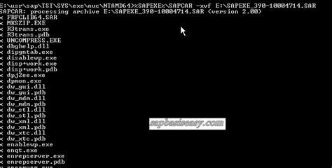 Image result for SAP Kernel Patch Install
