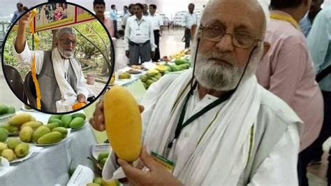 Mango Viral News : बाबो, एकाच झाडाला लागतात 300 वेगवेगळ्या प्रकारचे ...