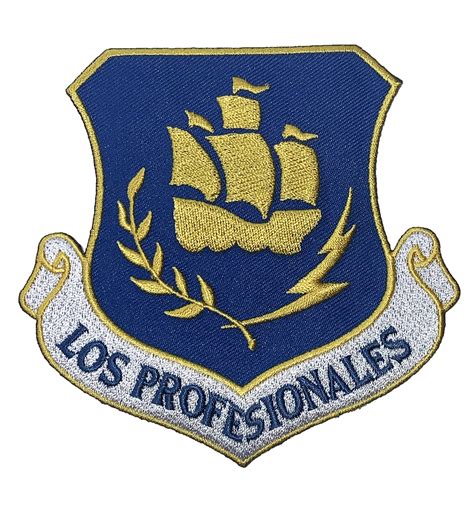 24th Special Tactics Squadron Logo