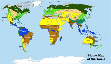 Temperate Woodland And Shrubland Map