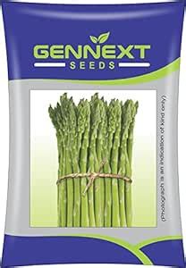 GENNEXT SEEDS Asparagus Green Arrow Seeds - Pack of 2 : Amazon.in ...