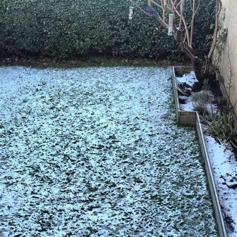 The mighty thaw is well … | One Man's Notes