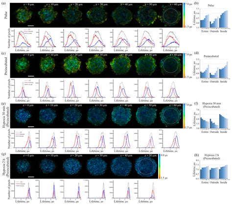 The Dual Luminescence Lifetime pH/Oxygen Sensor: Evaluation of ...