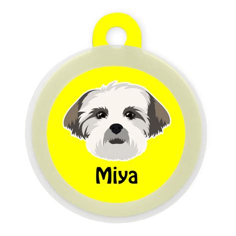 Lhasa Apso – Taggie Pet Store