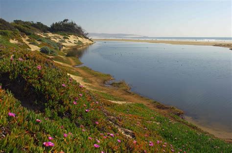 usbackroads™: North Beach Campground, Pismo Beach, California