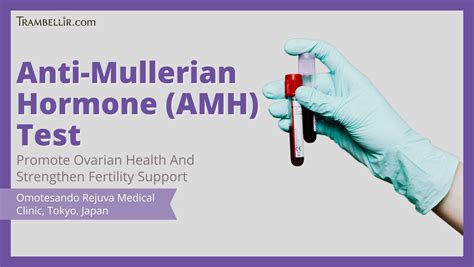 Anti-Mullerian Hormone (AMH) Test (Promote Ovarian Health And Strengthen Fertility Support ...