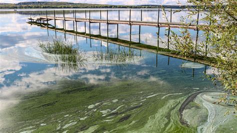 Uc Davis Law Calendar