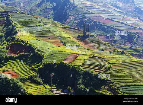 Image result for Java Field Example