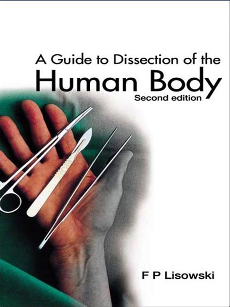 Image result for Human Dissection Tutorial