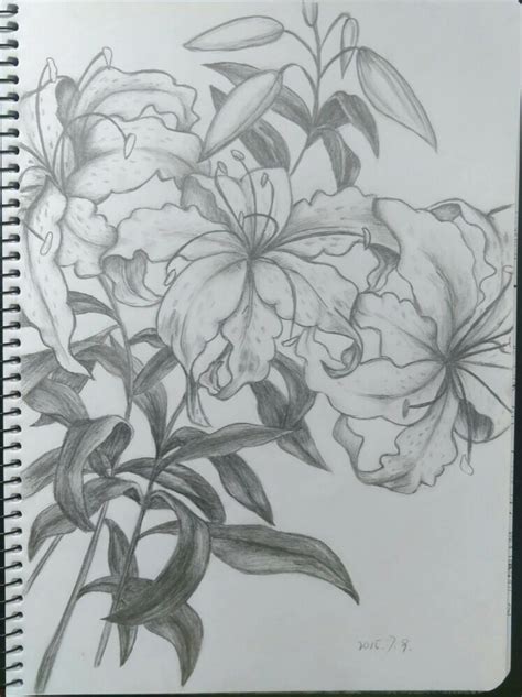 铅笔绘画 的图像结果