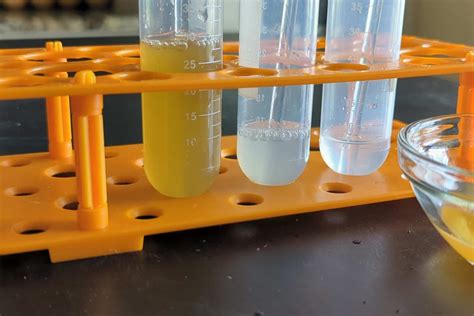 Nutrient Iodine Test at Cynthia Beverly blog