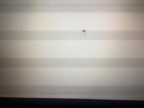 Mancha na Tela do Notebook - O que fazer? - Notebooks - Clube do Hardware