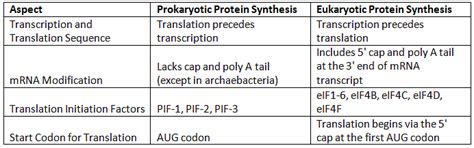 Structure and synthesis of nucleic acids and proteins - Botany Optional ...