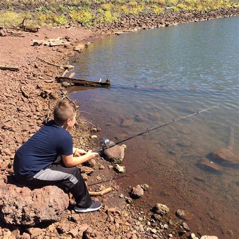 DOGTOWN LAKE CAMPGROUND (Williams) - Campground Reviews & Photos ...