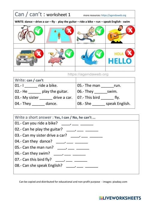 Can Worksheet 的图像结果